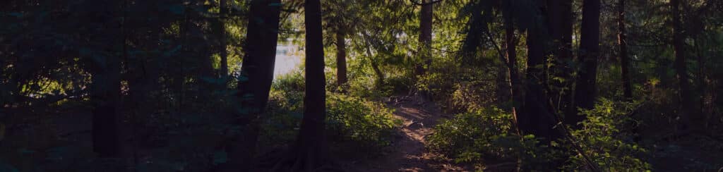 Langford