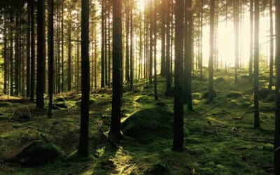 Your Magical Guide to Salt Spring Island